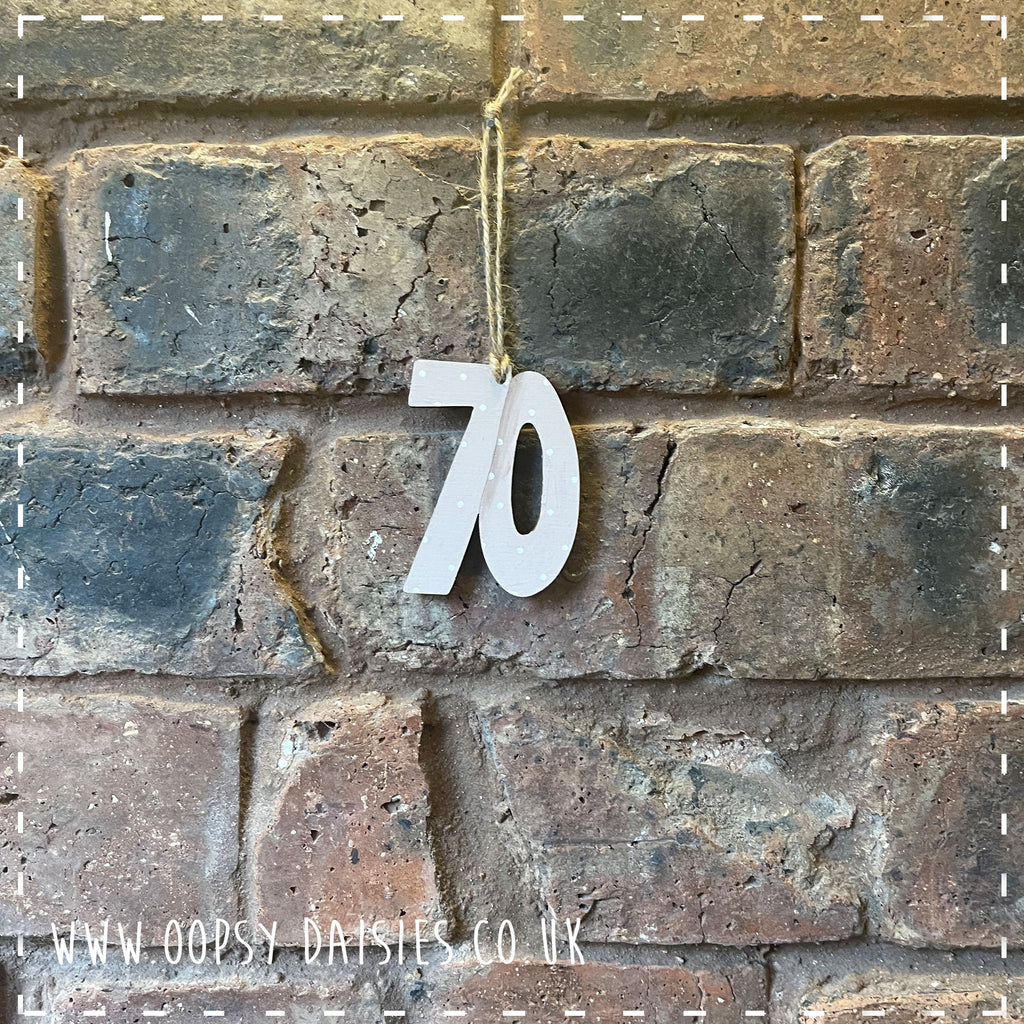 Age Number Plaque - '70' 14363