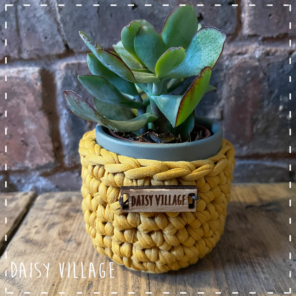 Personalised Crochet Cactus Pot 14490